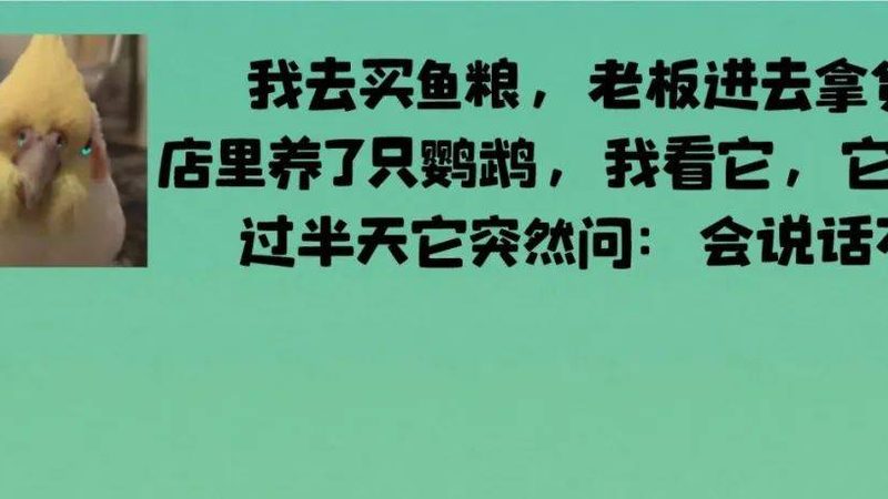 上海食材配送流程揭秘：从源头到餐桌的每一步